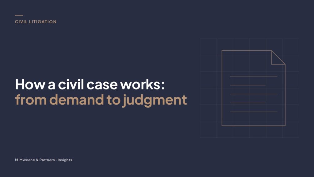 Cover for the guide “How a civil case works: from demand to judgment”, with a line drawing of a document on a grid
